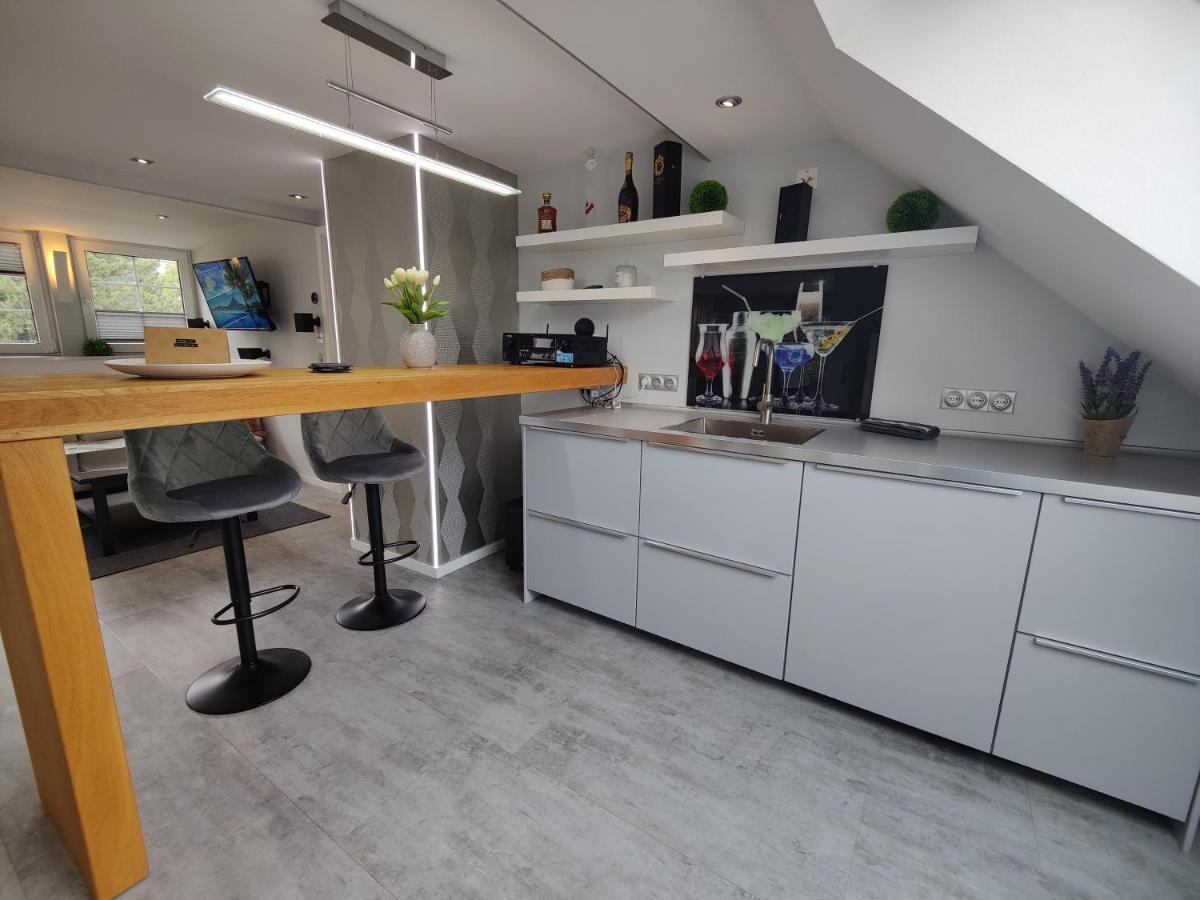Ferienhaus Villa Adelsberg Mit Dachterrasse In Zentraler Lage Fuer Bis Zu 10 Personen Chemnitz Luaran gambar