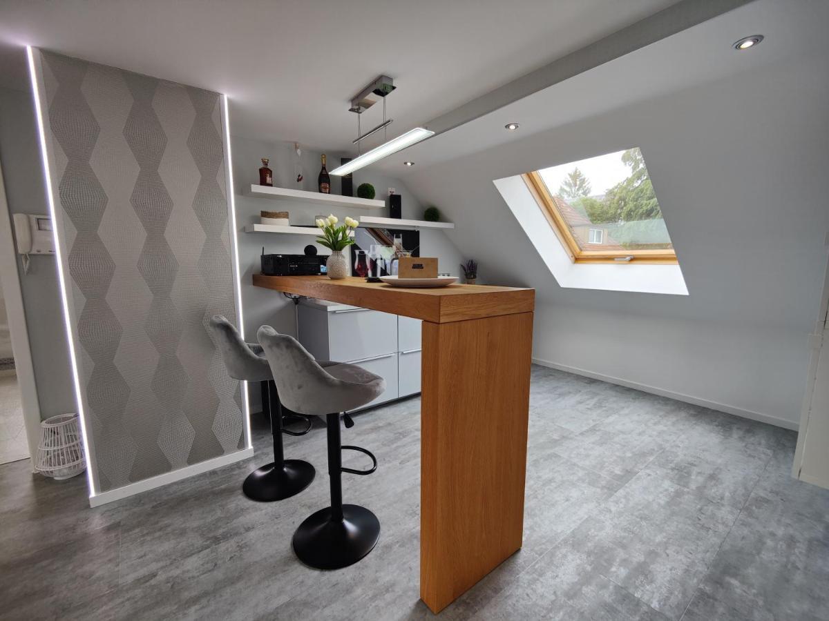 Ferienhaus Villa Adelsberg Mit Dachterrasse In Zentraler Lage Fuer Bis Zu 10 Personen Chemnitz Luaran gambar